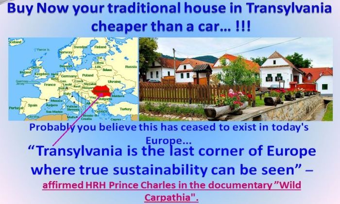 buy trans house